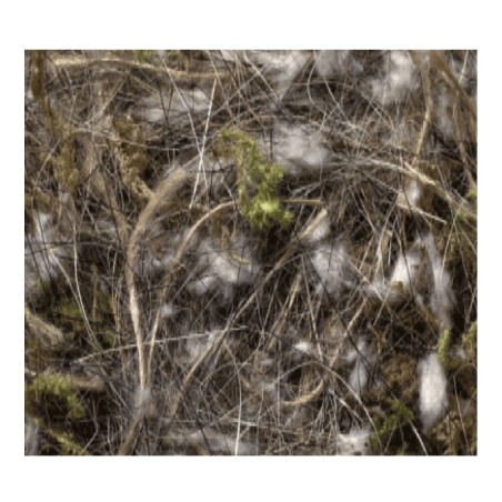 ANIMALE – VEGETALE – 500 Gr