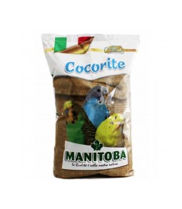 Cocorite Perruche Manitoba...