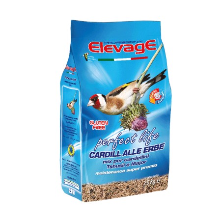 cardill, elevage, zorzella