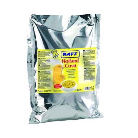 HOLLAND COVA, ZORZELLA