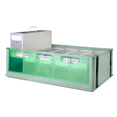 MAXI TINO + N.5 SECONDINI MAXI -Art. 245