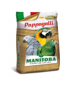 Grandi pappagalli Manitoba...
