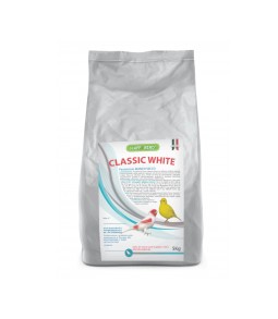 HB CLASSIC WHITE
