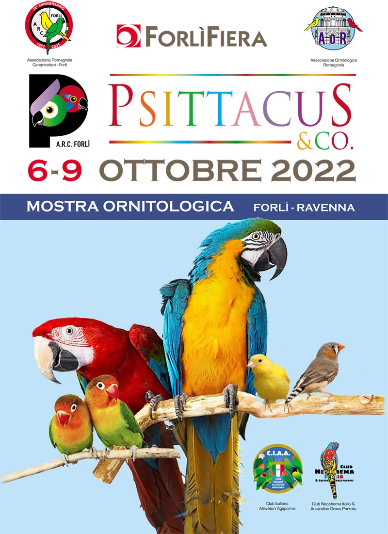 PSITTACUS 6-9 OTTOBRE 2022